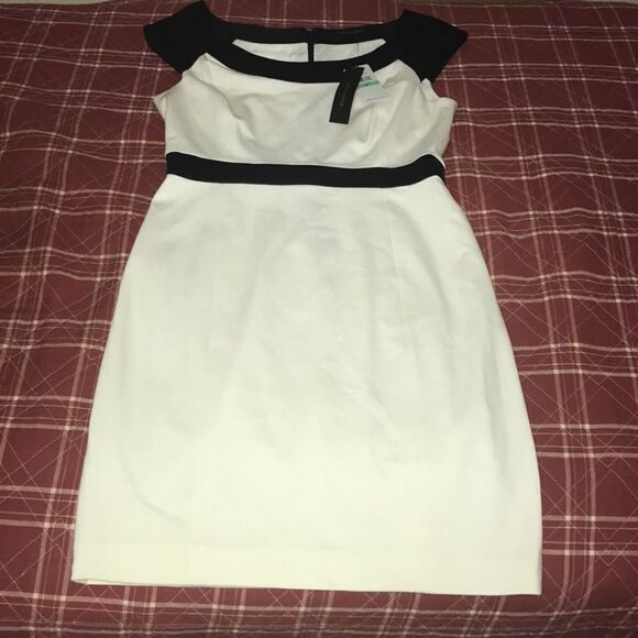 Cynthia steffe black and off white body con dress size 8 new with tags - Picture 9 of 10